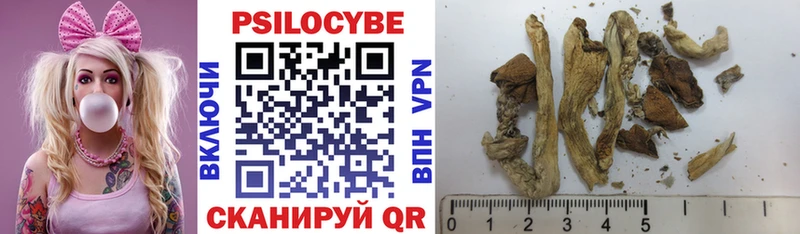 купить  сайты  Нижнекамск  Псилоцибиновые грибы Magic Shrooms 